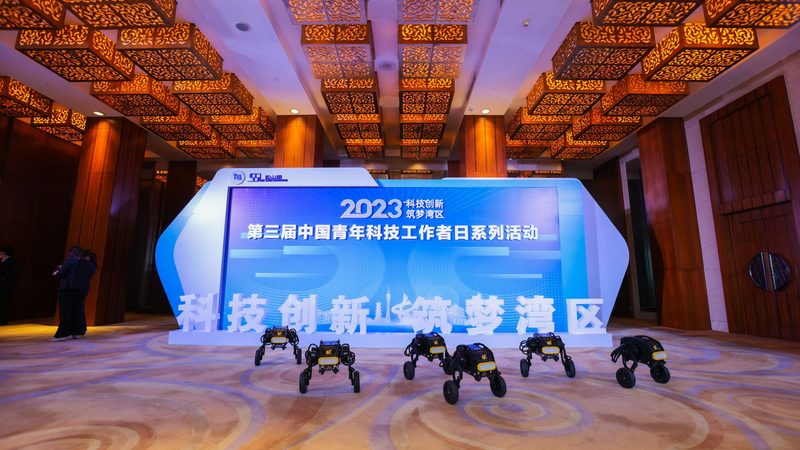 数据中台：2025年品牌排行榜背后的行业洞察